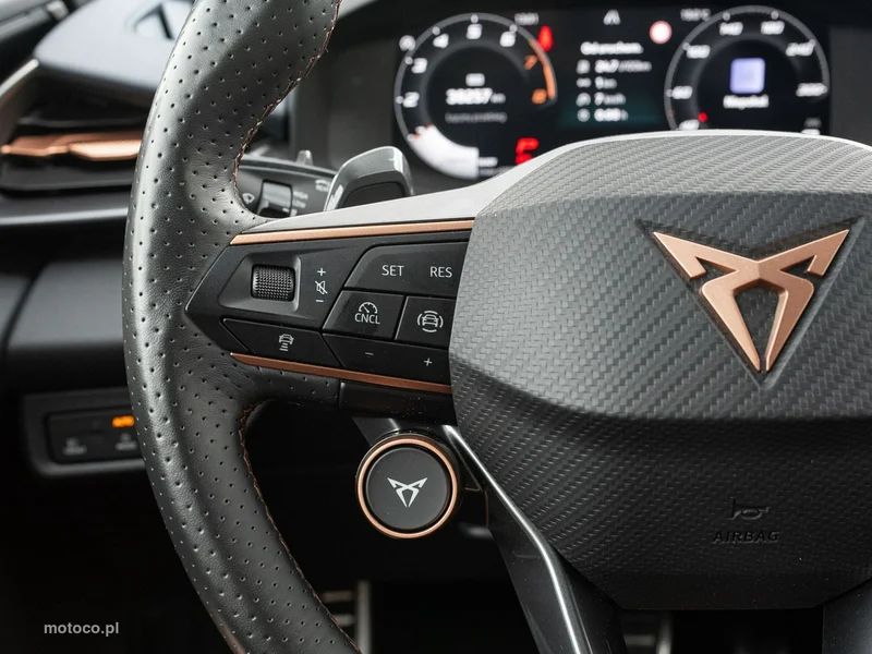 Cupra Terramar 13