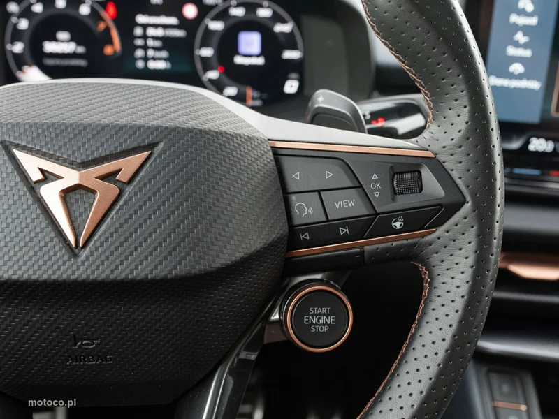 Cupra Terramar 14