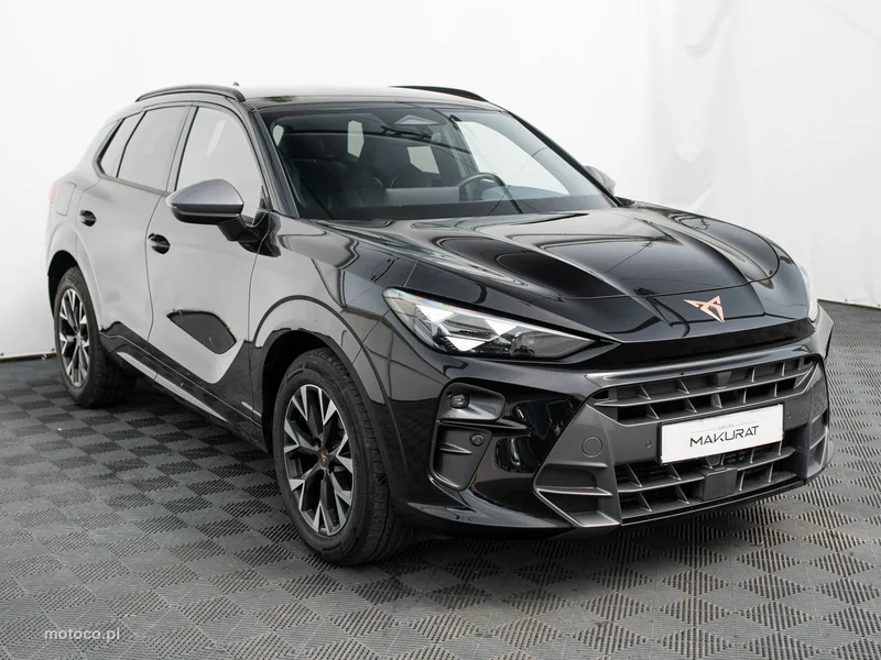 Cupra Terramar 3