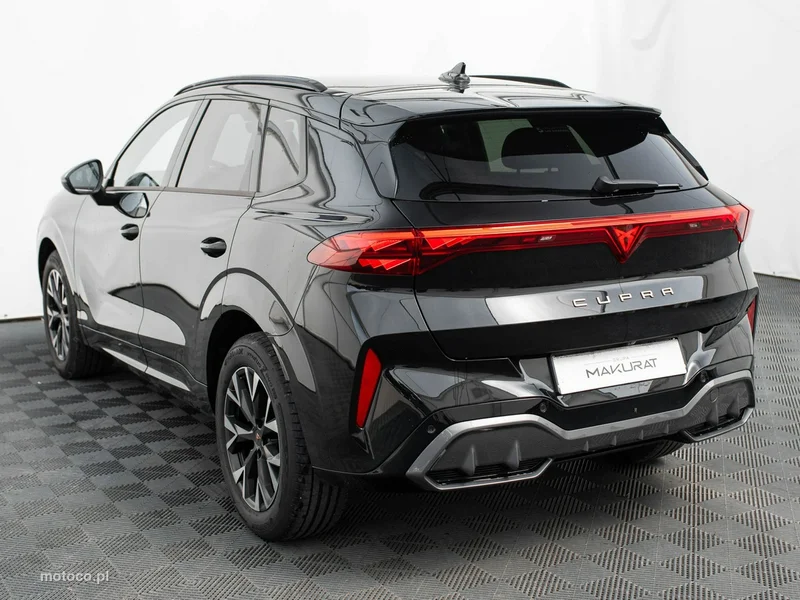 Cupra Terramar 4