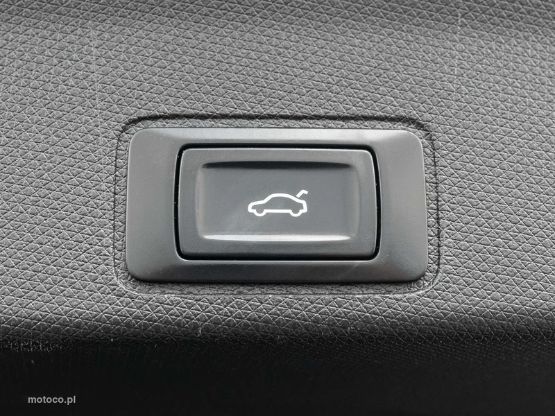 Cupra Terramar 31