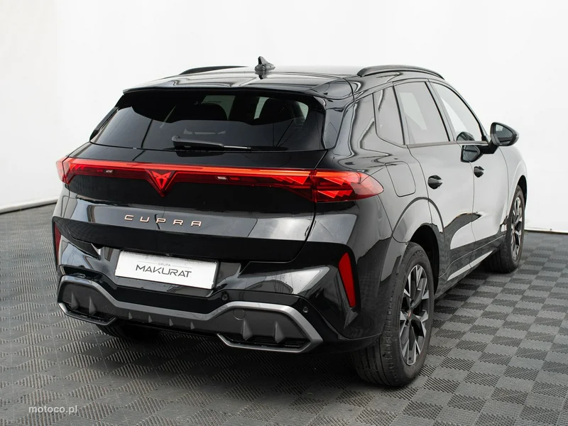 Cupra Terramar 5