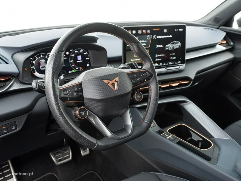 Cupra Terramar 6