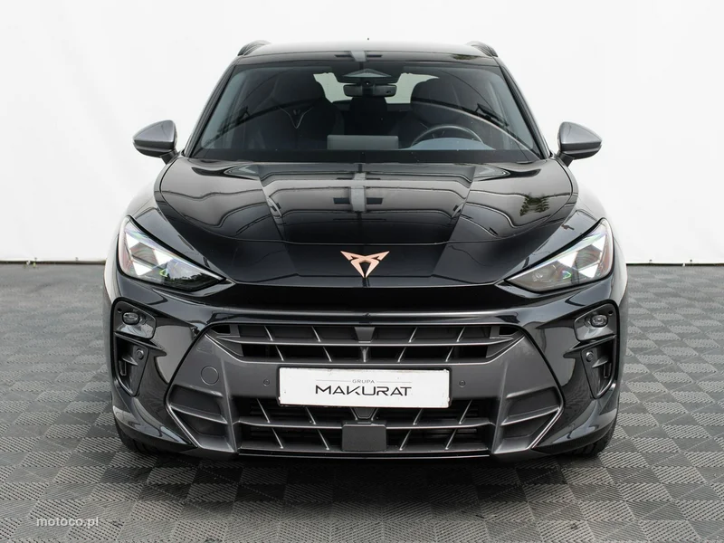 Cupra Terramar 7