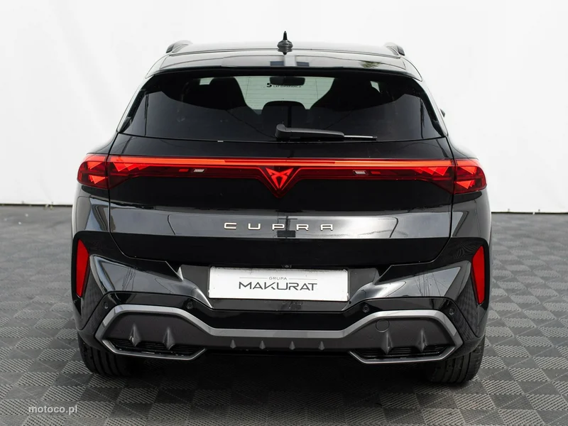 Cupra Terramar 8