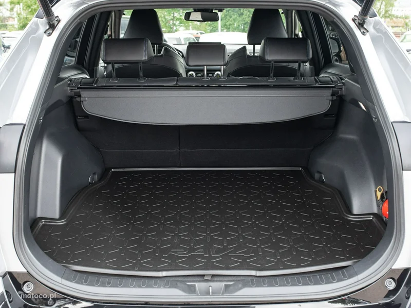 Toyota RAV 4 XA50 25