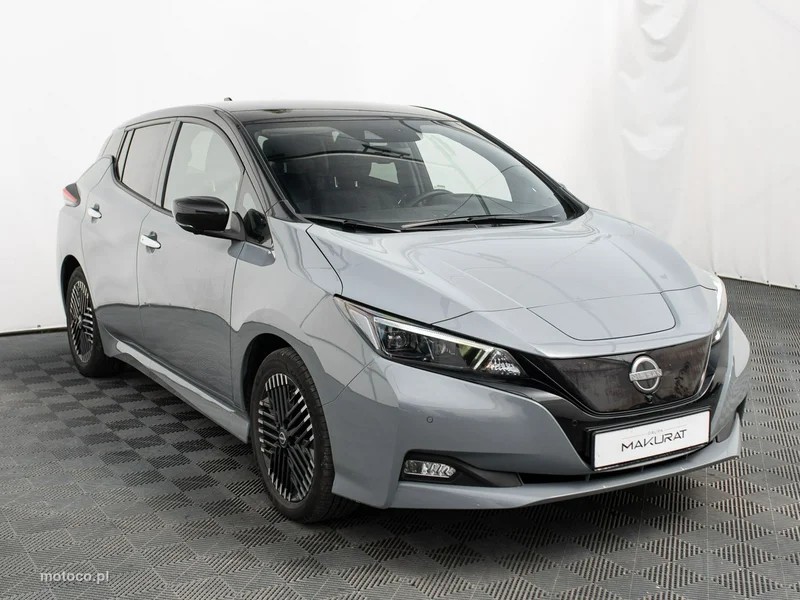 Nissan Leaf 3