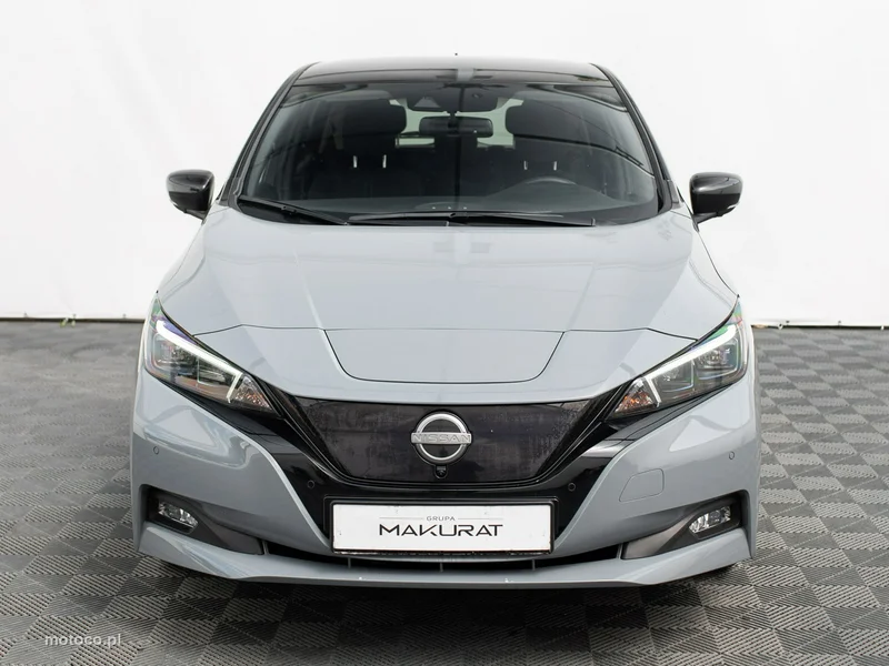 Nissan Leaf 7