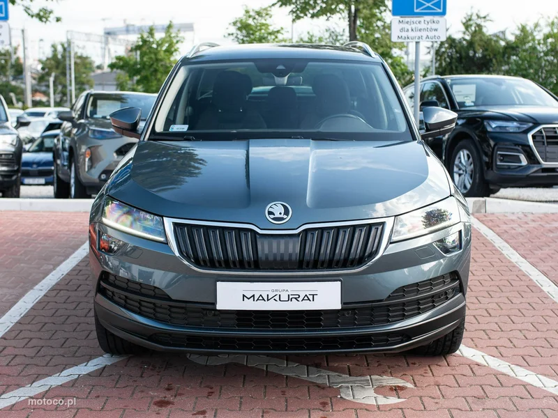 Skoda Karoq I 7