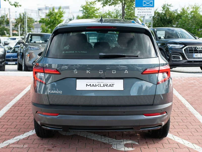 Skoda Karoq I 8