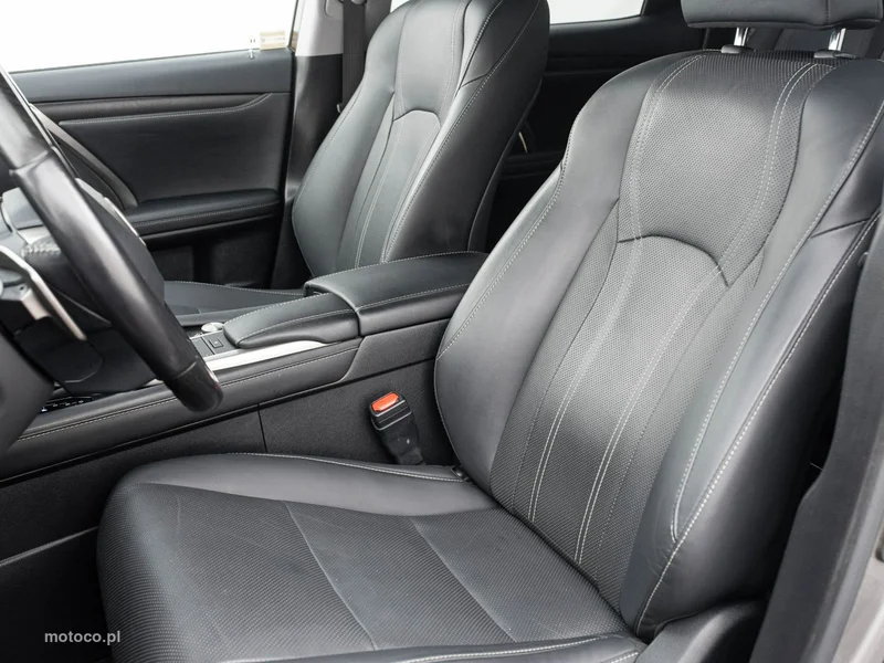 Lexus RX 11