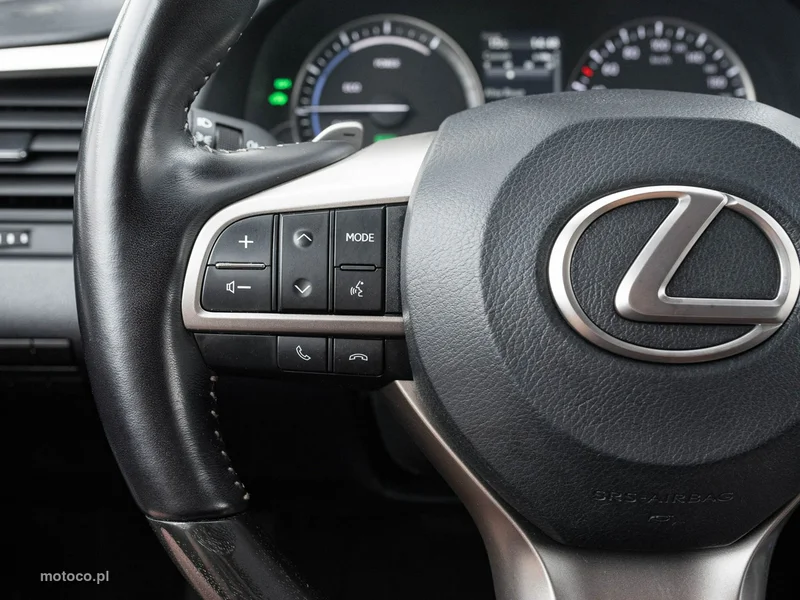 Lexus RX 13