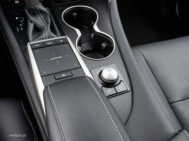 Lexus RX 17