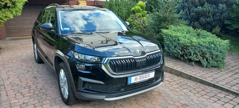Skoda Kodiaq I 8