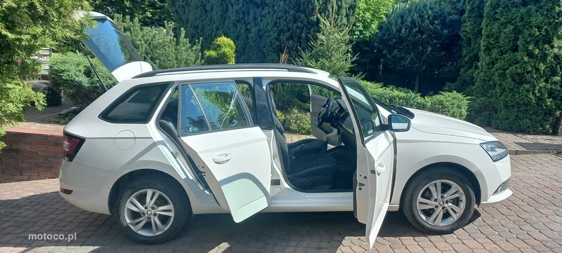 Skoda Fabia III 28