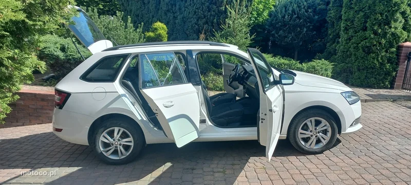 Skoda Fabia III 36