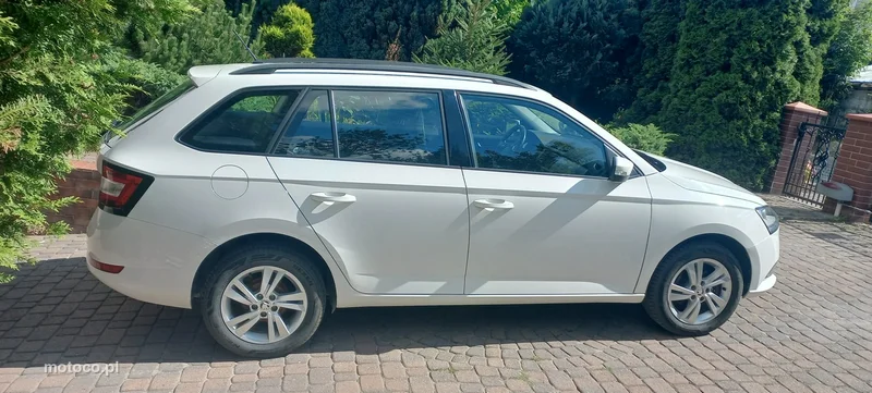 Skoda Fabia III 38