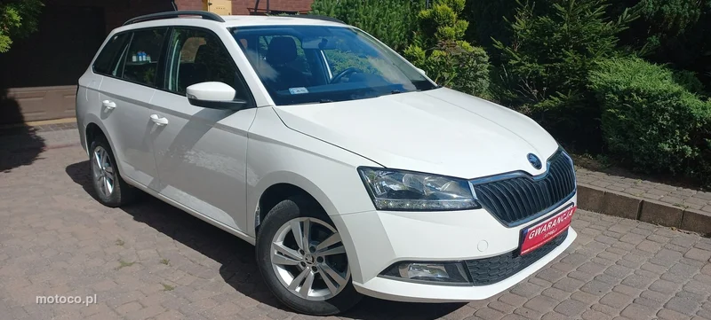 Skoda Fabia III 39