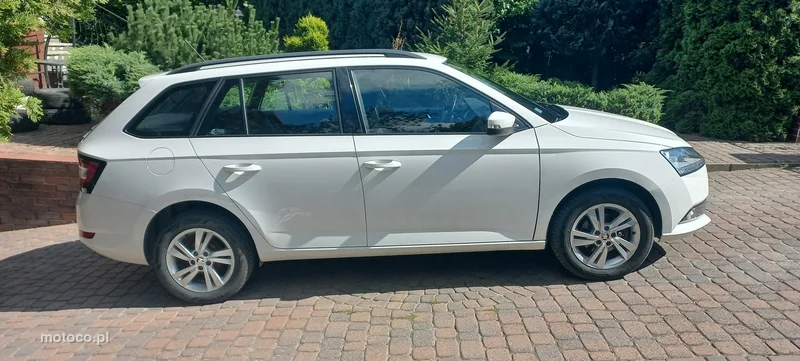 Skoda Fabia III 10