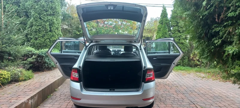 Skoda Fabia III 18