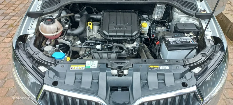 Skoda Fabia III 20