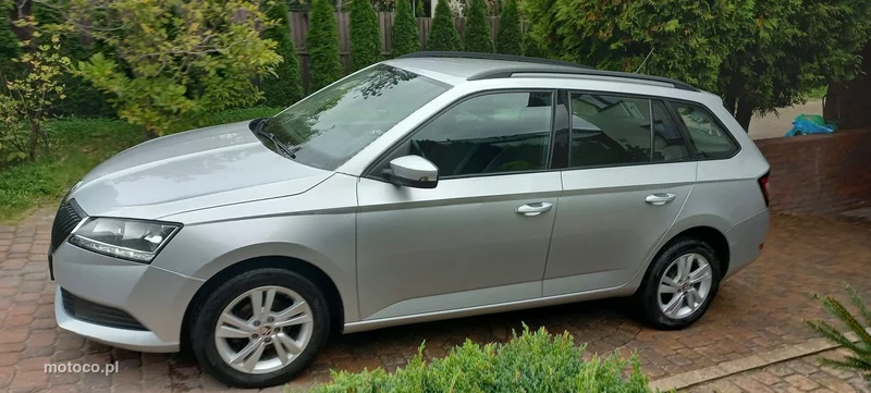 Skoda Fabia III 26