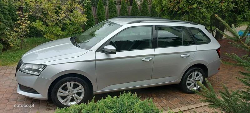 Skoda Fabia III 33