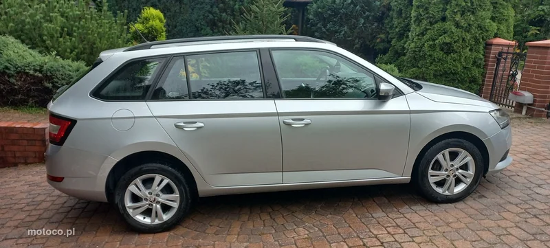 Skoda Fabia III 10