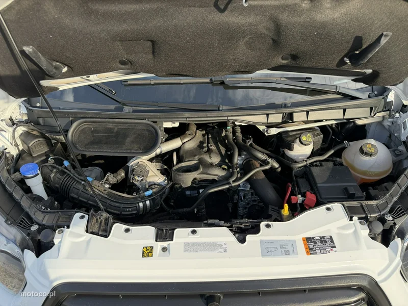 Ford Transit 13