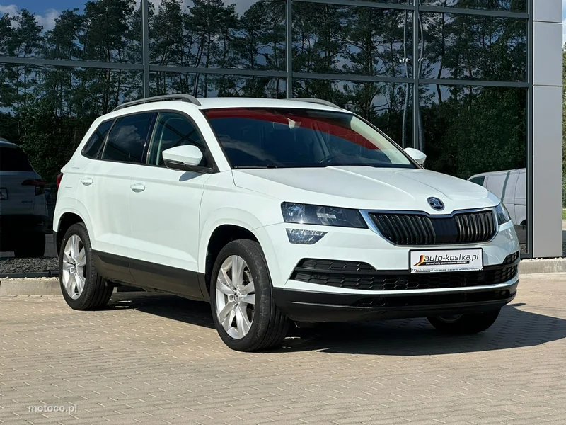 Skoda Karoq I 6