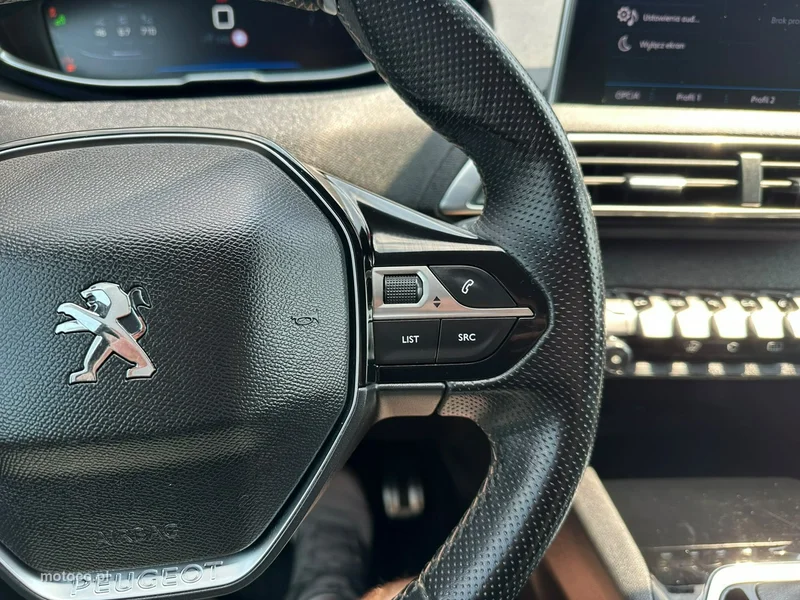 Peugeot 3008 18