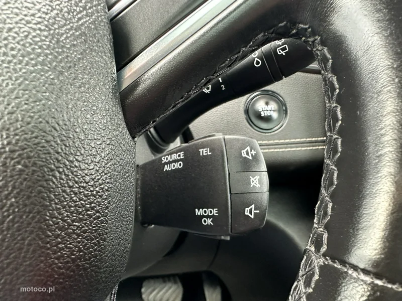 Renault Grand Scenic III 22