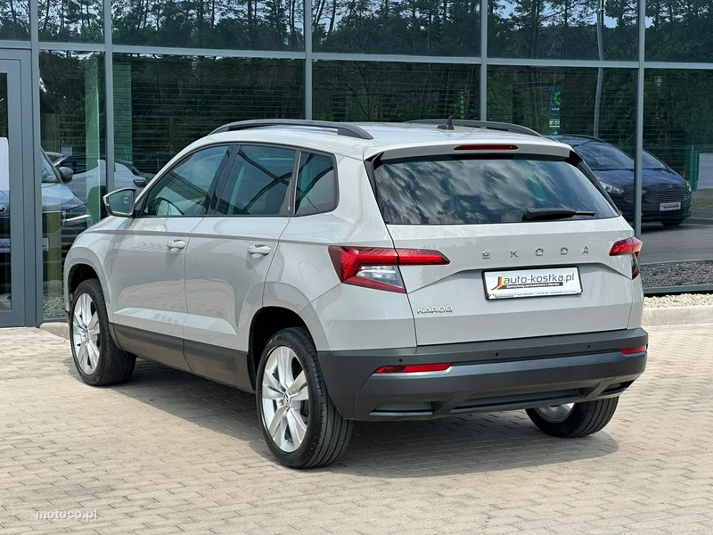 Skoda Karoq I 8