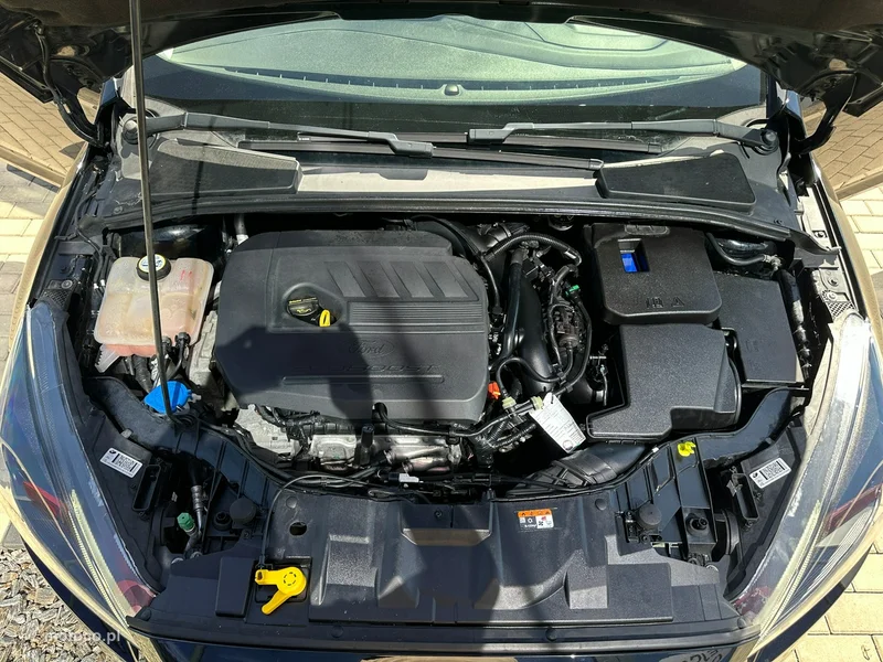 Ford Focus III 30