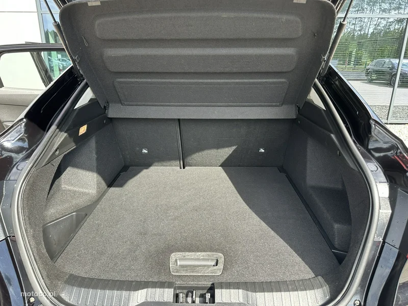 Renault Arkana 31