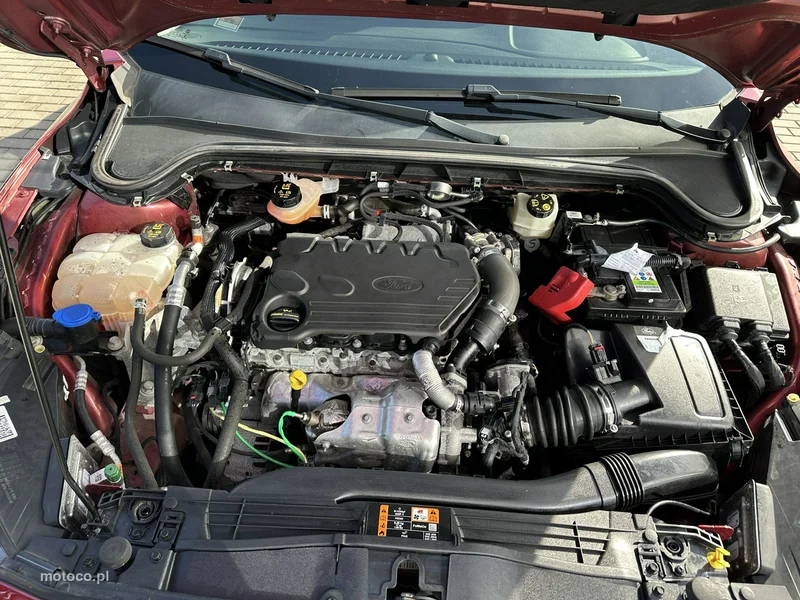 Ford Focus IV 34