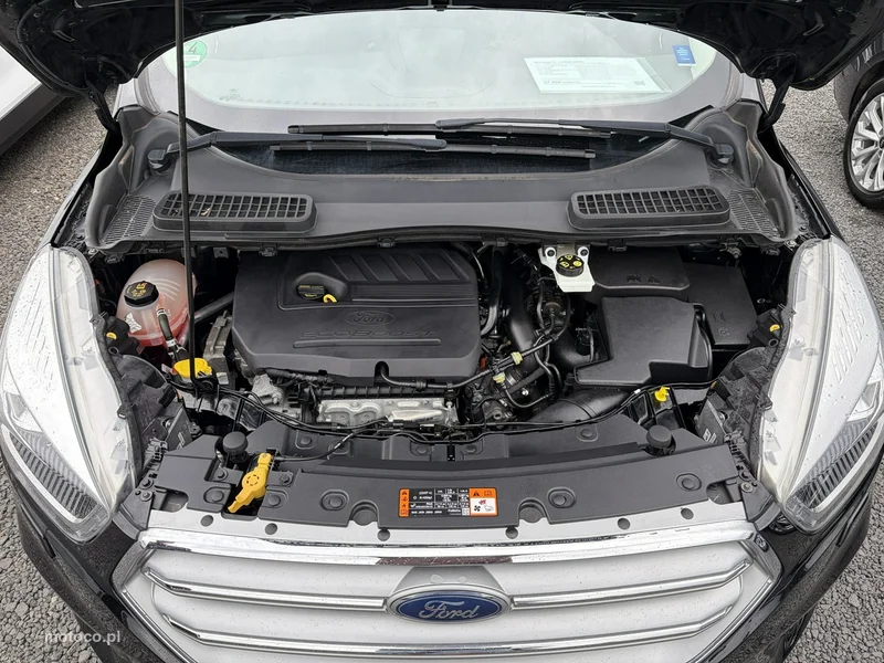 Ford Kuga II 30