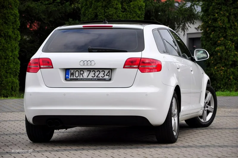 Audi A3 8P 13