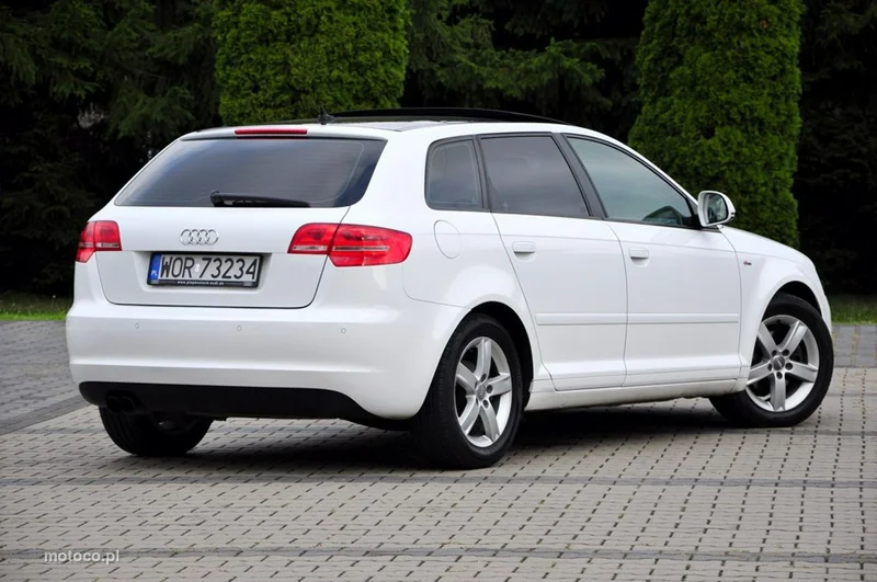 Audi A3 8P 14