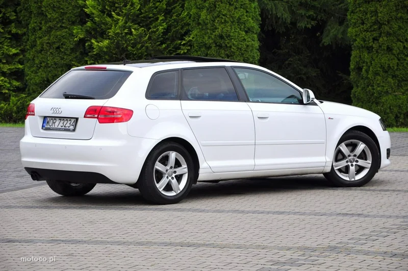Audi A3 8P 15