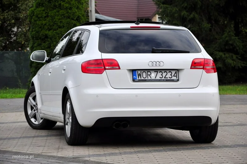 Audi A3 8P 19