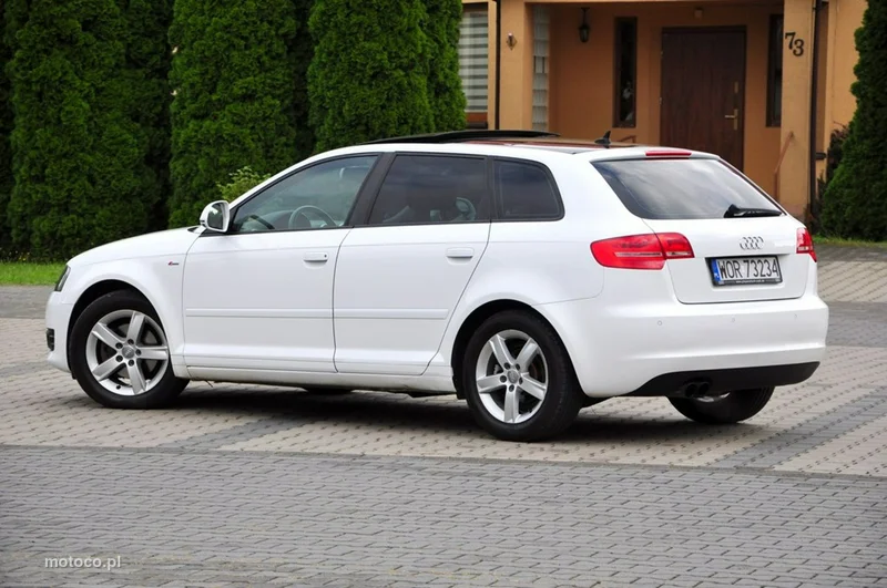 Audi A3 8P 21