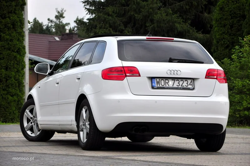 Audi A3 8P 22