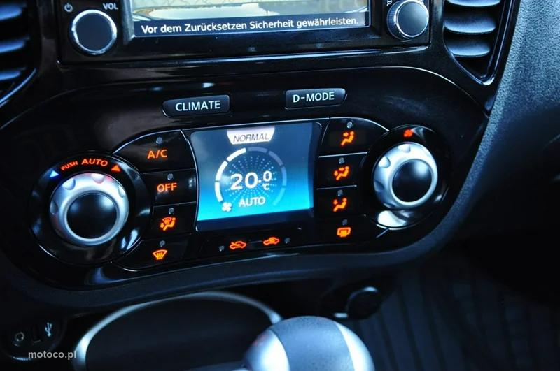Nissan Juke 38