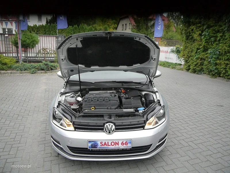 Volkswagen Golf VII 14