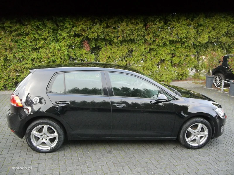 Volkswagen Golf VII 11