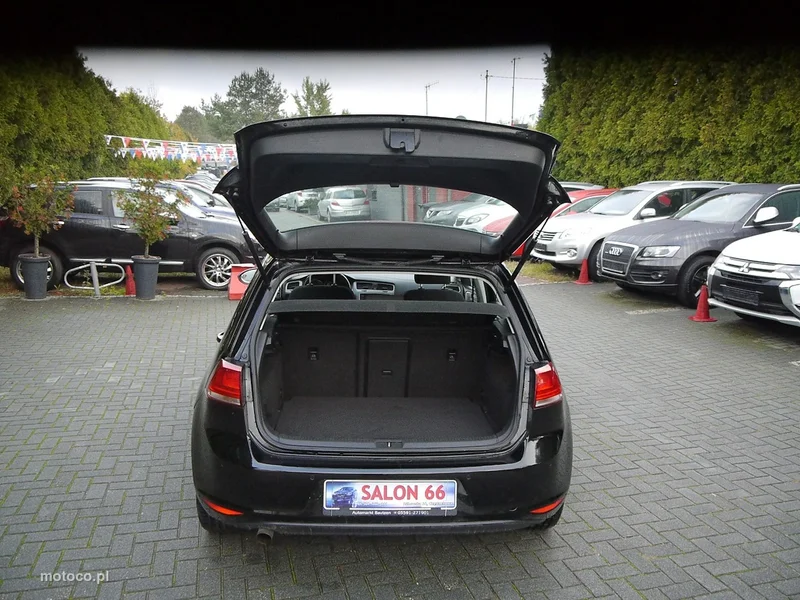 Volkswagen Golf VII 13