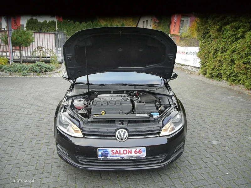 Volkswagen Golf VII 14