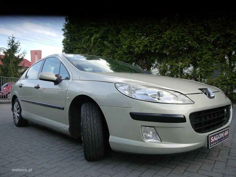 Peugeot 407 11