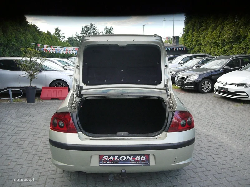 Peugeot 407 13